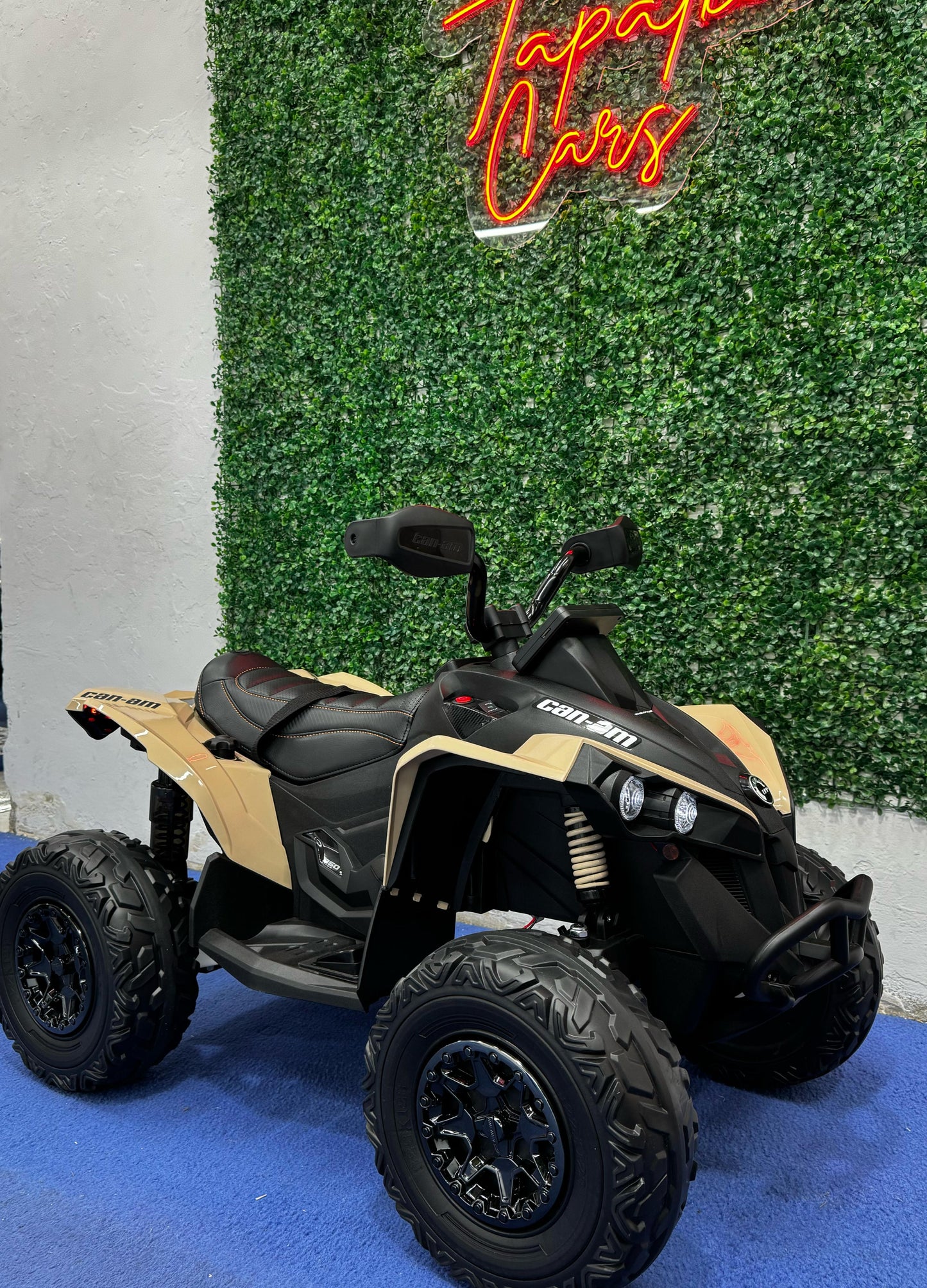 Cuatrimoto CaN Am Maverick