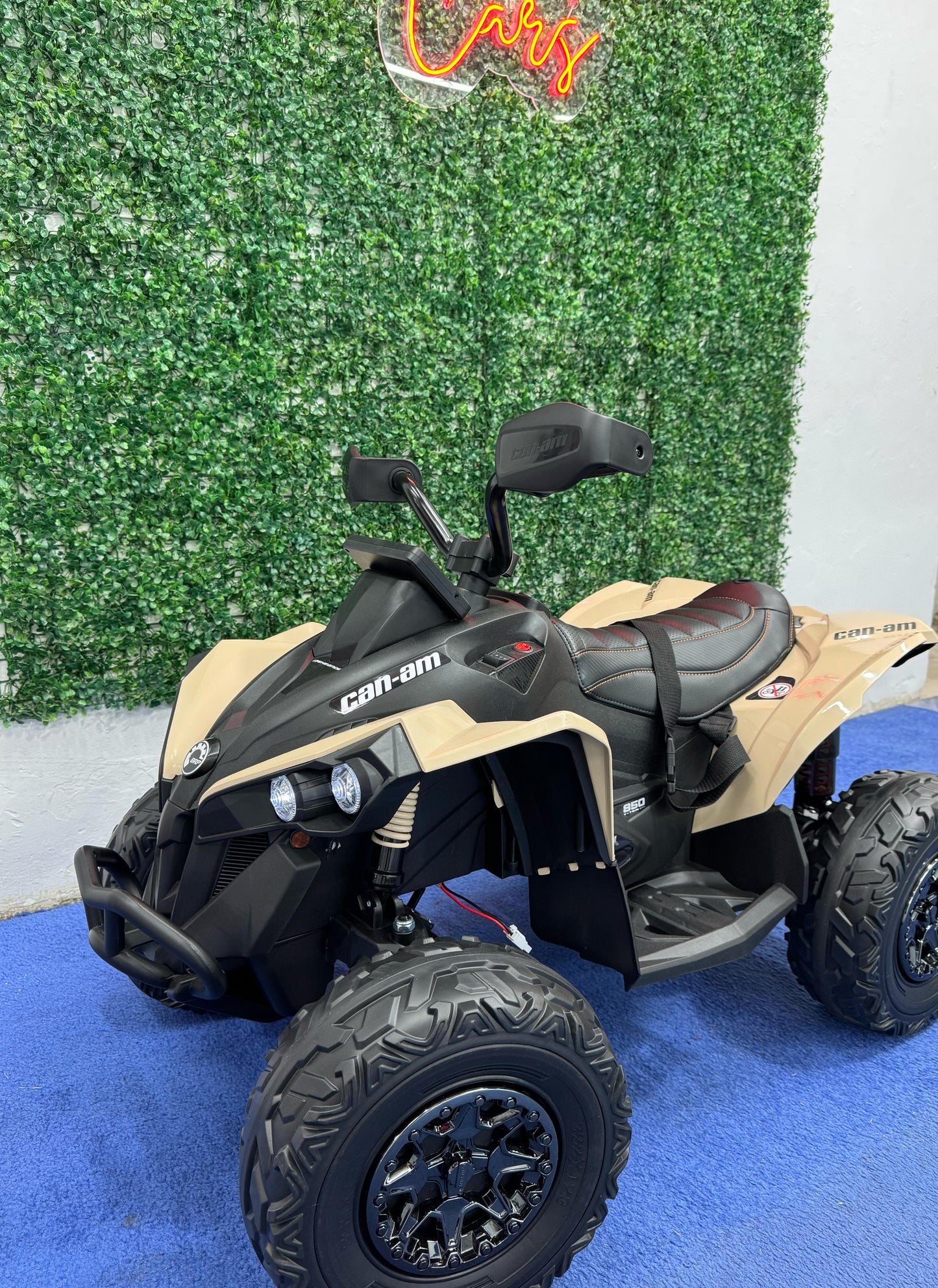 Cuatrimoto CaN Am Maverick